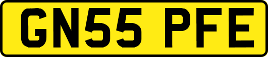 GN55PFE