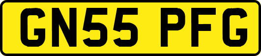 GN55PFG