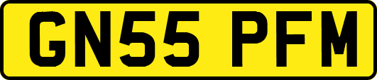 GN55PFM