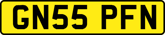 GN55PFN