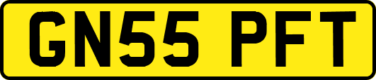 GN55PFT
