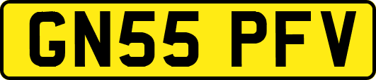 GN55PFV