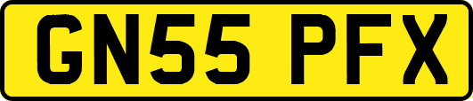 GN55PFX