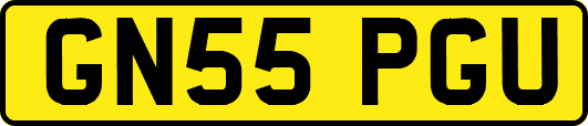 GN55PGU