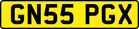 GN55PGX