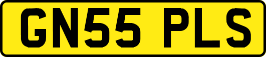GN55PLS