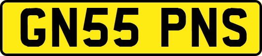 GN55PNS