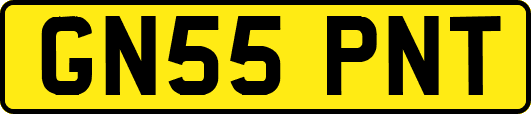 GN55PNT