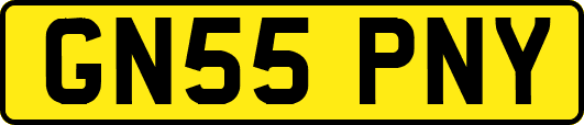 GN55PNY