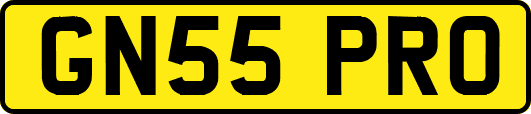 GN55PRO