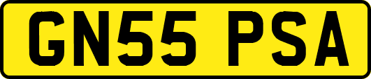 GN55PSA