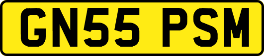 GN55PSM