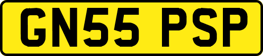 GN55PSP