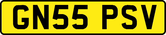 GN55PSV