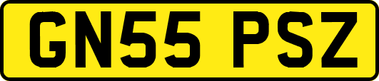 GN55PSZ