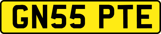 GN55PTE