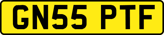 GN55PTF