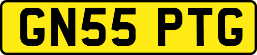 GN55PTG