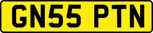 GN55PTN