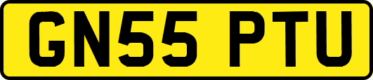 GN55PTU