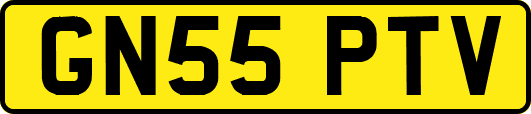 GN55PTV