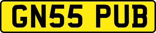GN55PUB