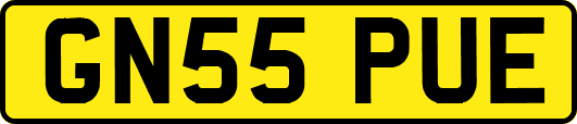 GN55PUE