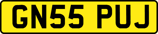 GN55PUJ