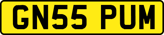 GN55PUM