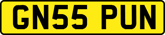 GN55PUN