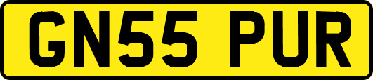 GN55PUR