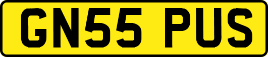 GN55PUS