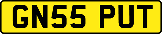 GN55PUT