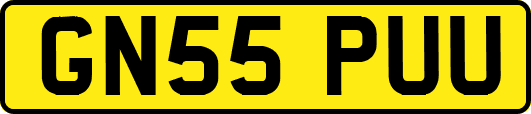 GN55PUU