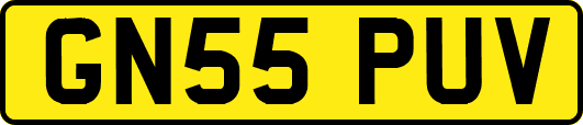 GN55PUV
