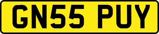 GN55PUY