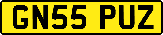 GN55PUZ