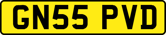 GN55PVD