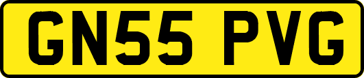 GN55PVG