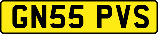 GN55PVS