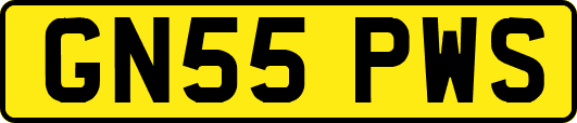 GN55PWS