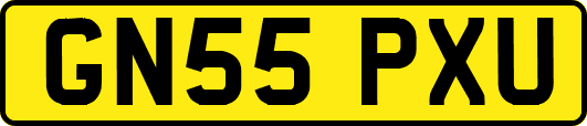 GN55PXU