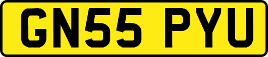 GN55PYU