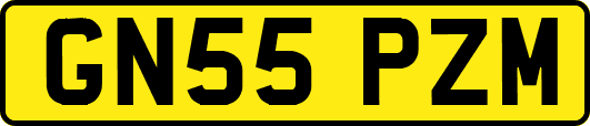 GN55PZM