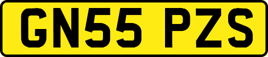 GN55PZS