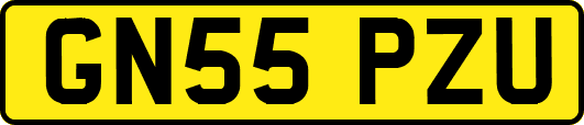 GN55PZU