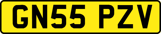 GN55PZV