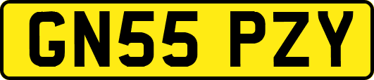GN55PZY