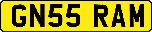 GN55RAM