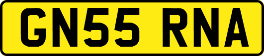 GN55RNA